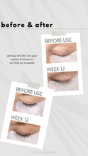 Load image into Gallery viewer, Lash & Brow Serum